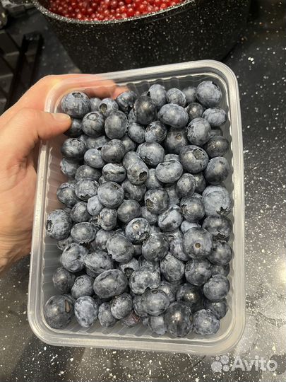 Голубика ягоды свежие