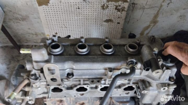 Двигатель nissan almera n16 1.5