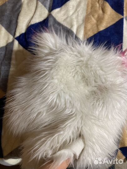 Маска раптора фурсьют