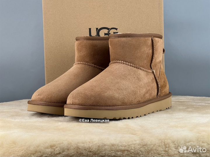 Угги мужские Ugg Mens Classic Mini II Chestnut