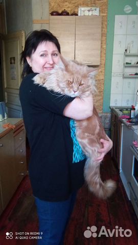 Мейн-кун вязка