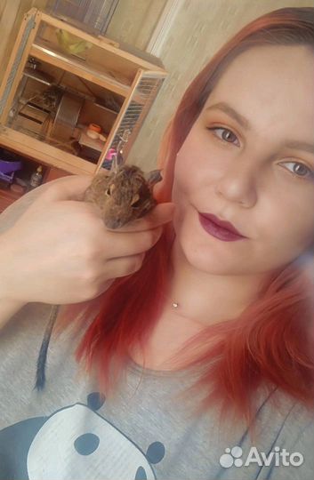 Передержка