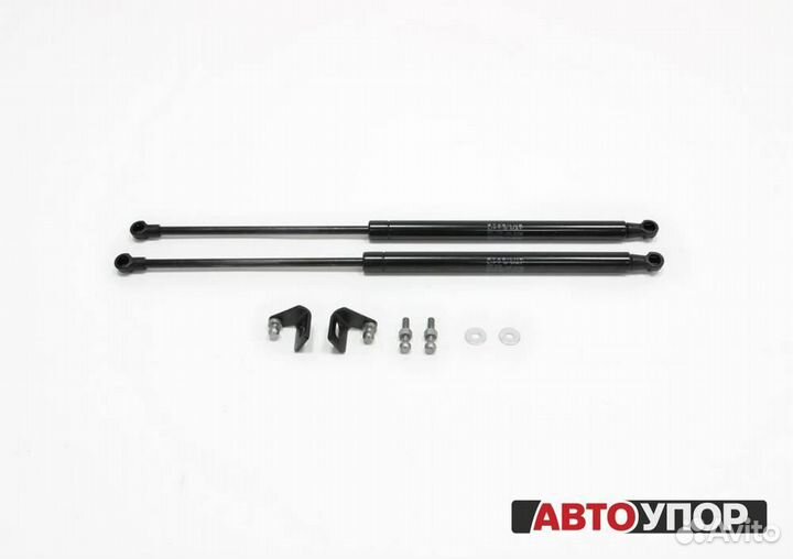 Газовые Упоры Капота Skoda Rapid (2012)