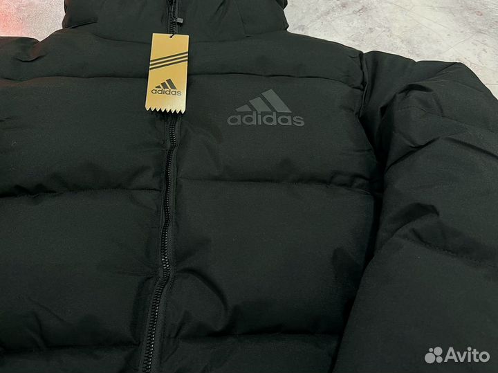 Куртки Adidas lux