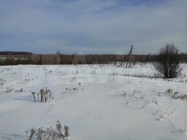 Участок 75,5 сот. (ИЖС)