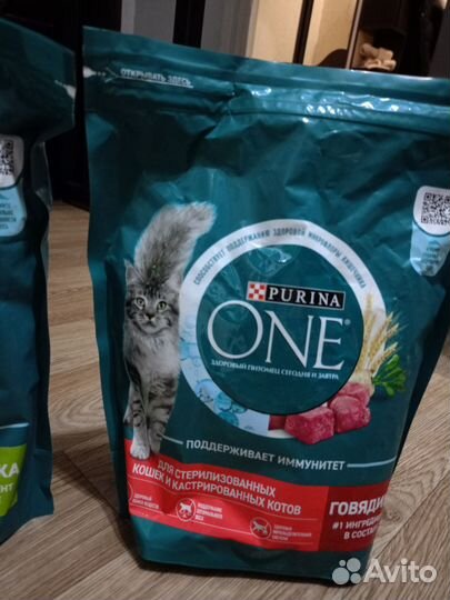 Корм для кошек purina one