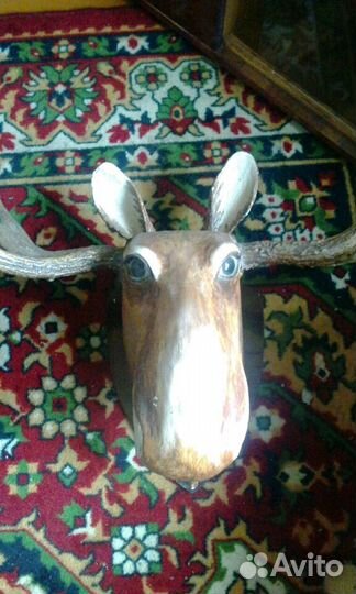 Чучело лося