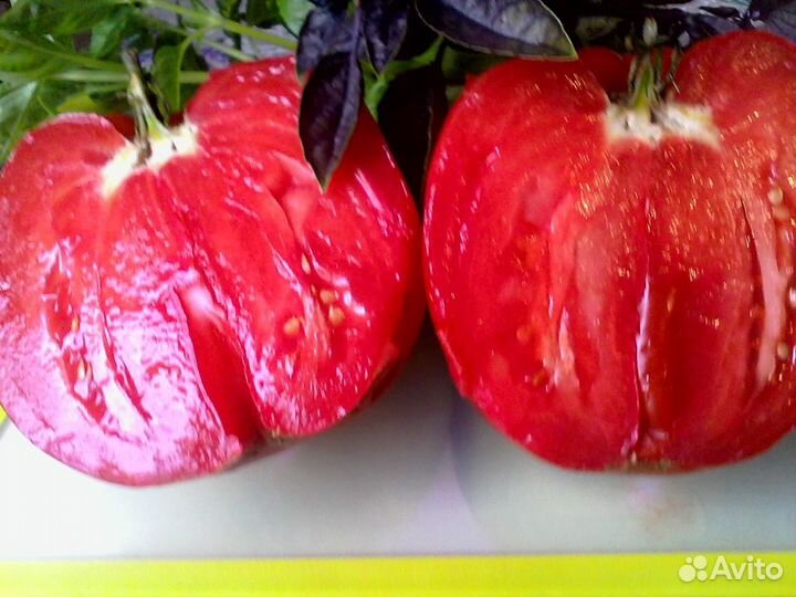 Редкие сорта томатов