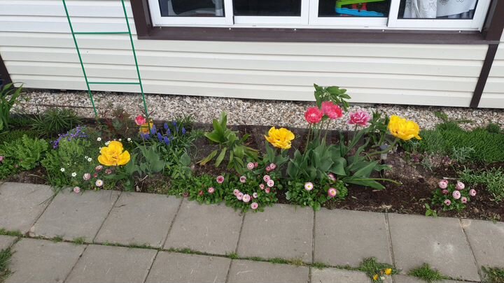 Дача 50 м² на участке 18,5 сот.