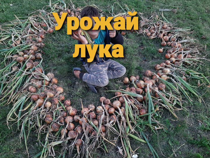 Участок 10 сот. (СНТ, ДНП)