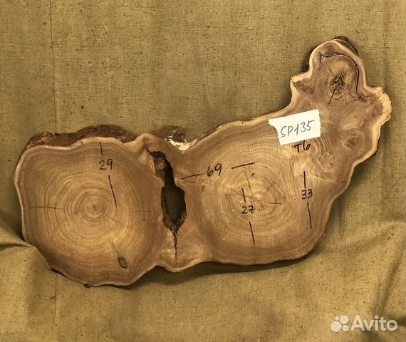 Спил карагача