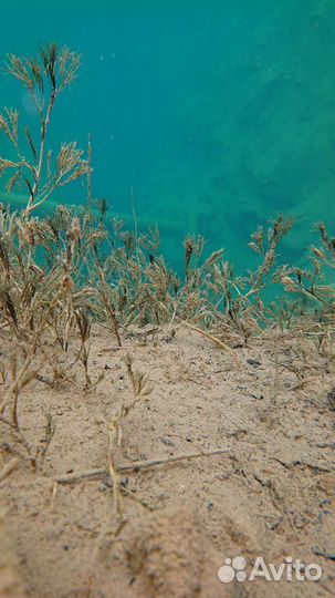 Тур на источник Красный ключ и Сарва