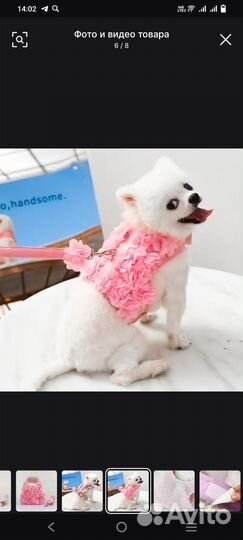 Желет -поводок новый