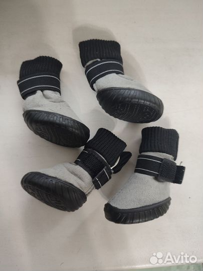 Ботинки для маленьких собак