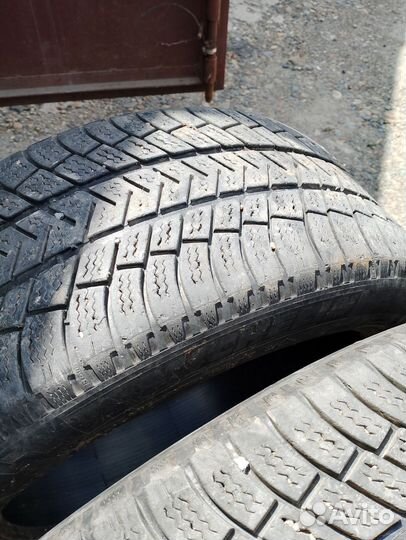 Michelin Pilot Alpin PA5 255/45 R19 и 285/40 R19