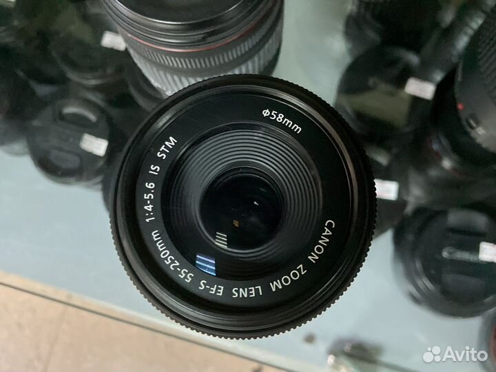Canon EF-S 55-250mm f/4-5.6 IS STM