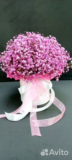 Букет из гипсофилы