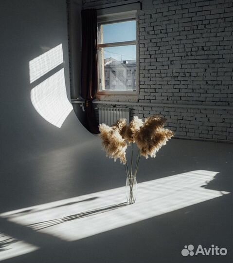 Фотостудия с циклорамой