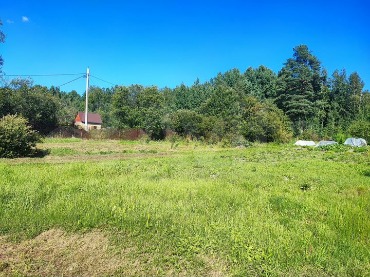 Участок 22 сот. (СНТ, ДНП)