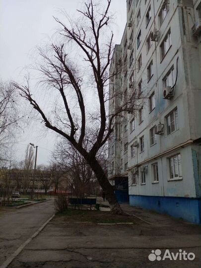 Спил деревьев кронирование стрижка, покос травы