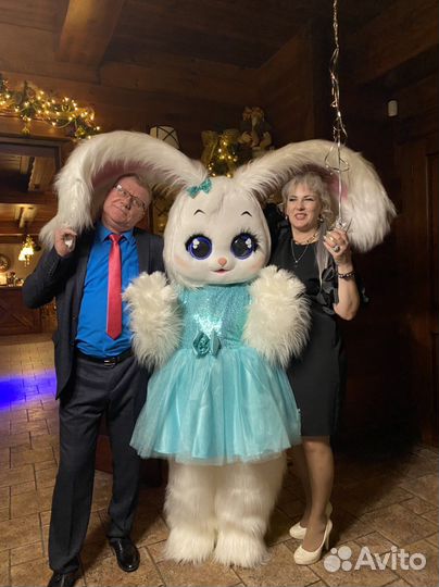 Поздравления от Мишки и любимых героев Красноярск