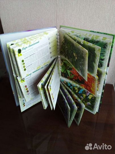 Волкова Е. Лучшие комнатные цветы: альбом-каталог