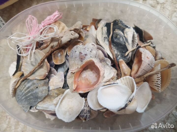 Ракушки наборы, морские звезды