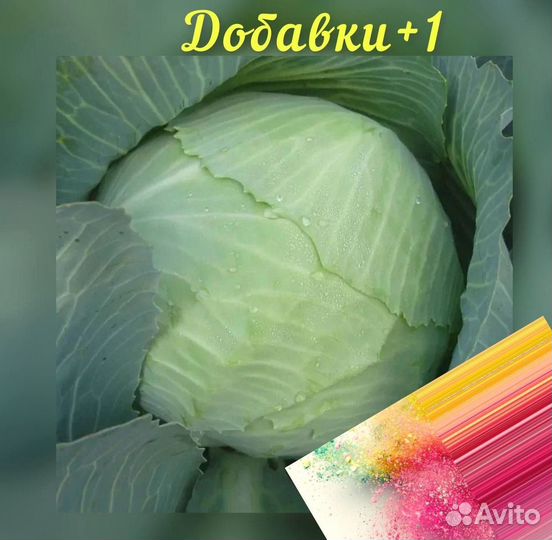 Капуста сушеная резаная/ Молотая