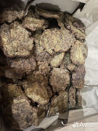 Консервы натуральные для кошек и собак