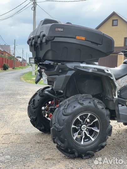 Stels guepard 800 / стелс гепард 800