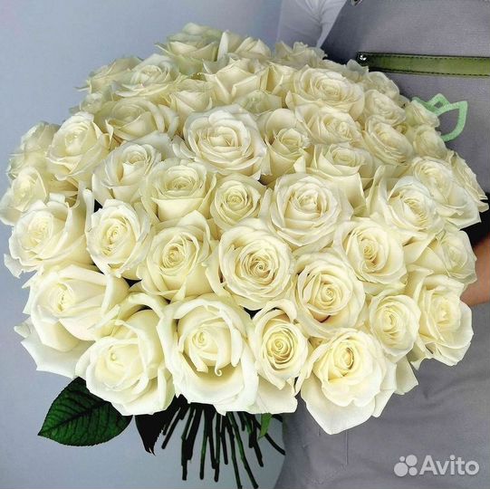 Высокие розы Гигантские Розы 150 160 170 180 190см