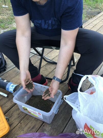 Жмых конопляный молотый