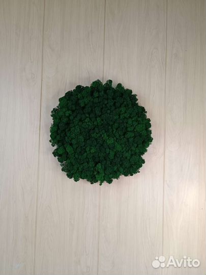 Панель из стабилизированного мха