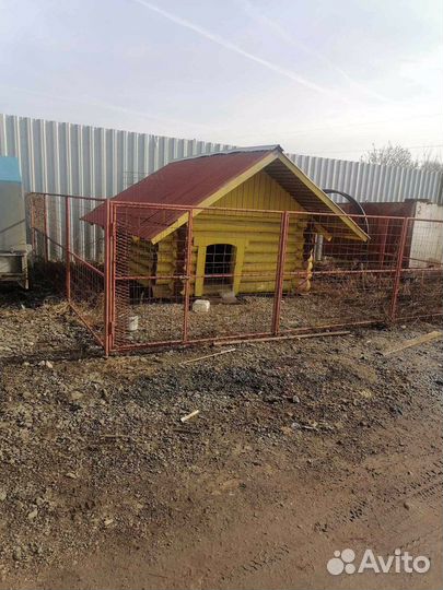 Сруб будка для собаки