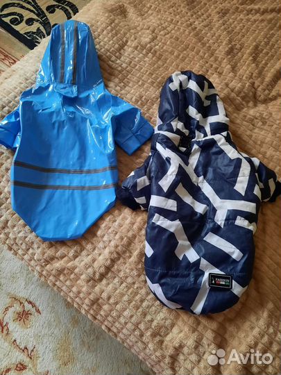 Дождевик и зимняя куртка для собак