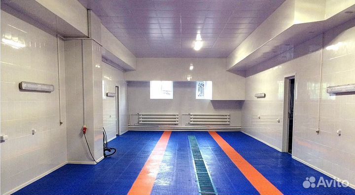 Пвх-плитка для спортзала