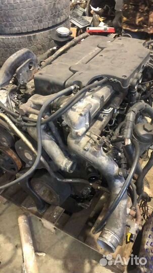 Двигатель MAN TGL d0834lfl52 и D0834lfl42