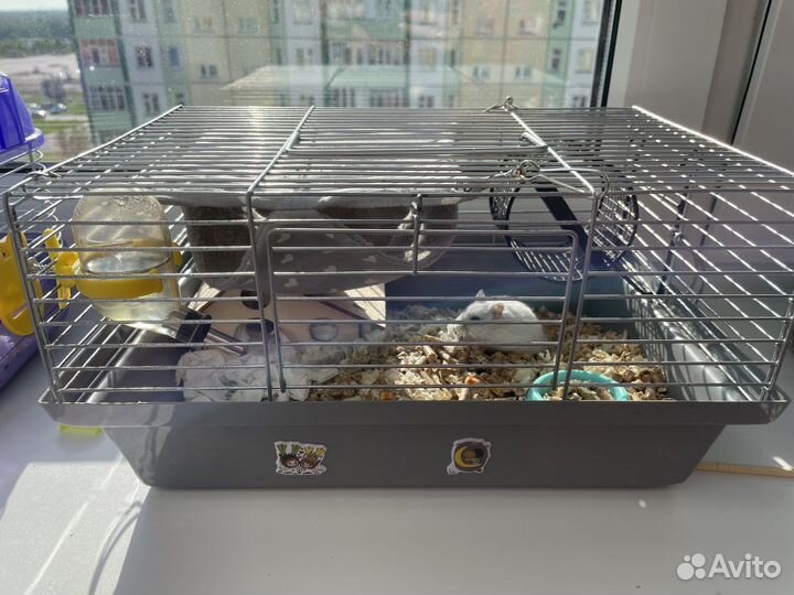 Клетка с хомяком