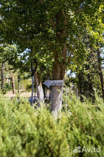 Открытая беседка Loft для праздников и мероприятий