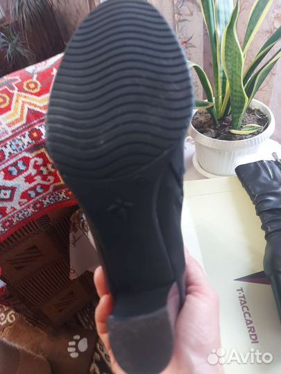 Сапоги женские демисезонные