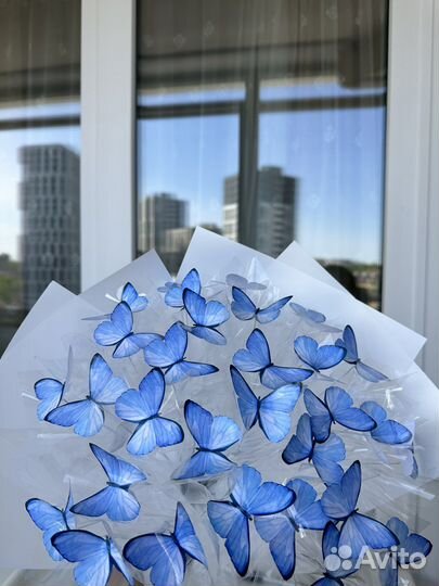 Букет из бабочек