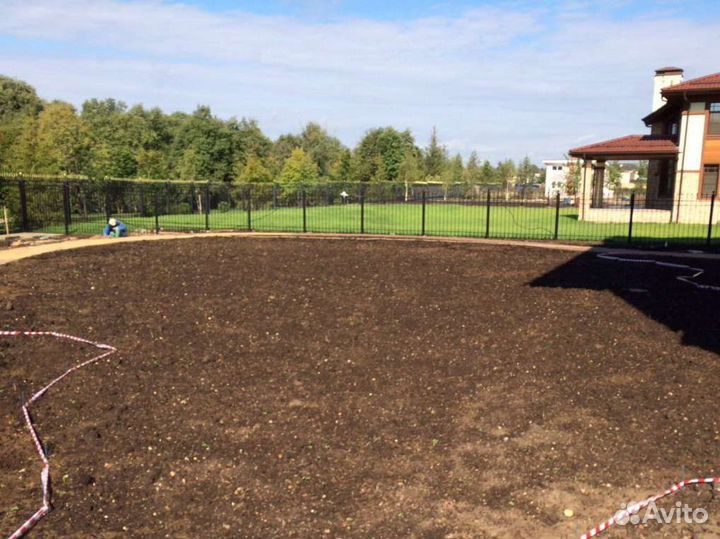 Посев газона