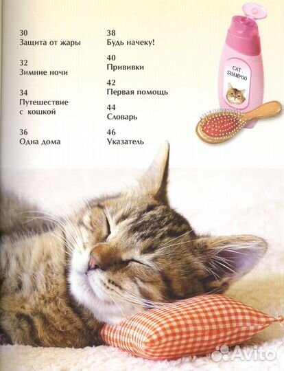 Книга 22214 Кошки и котята. Детская энциклопедия