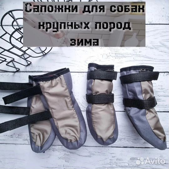 Сапожки для собак на все сезоны