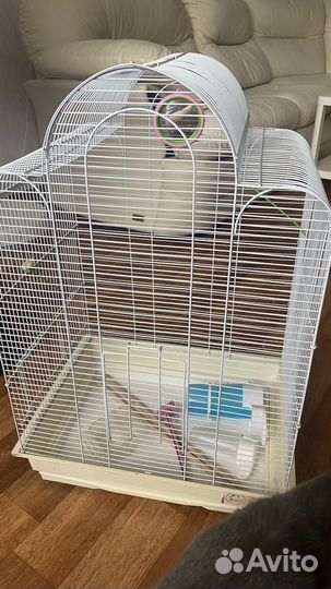 Клетка для птиц