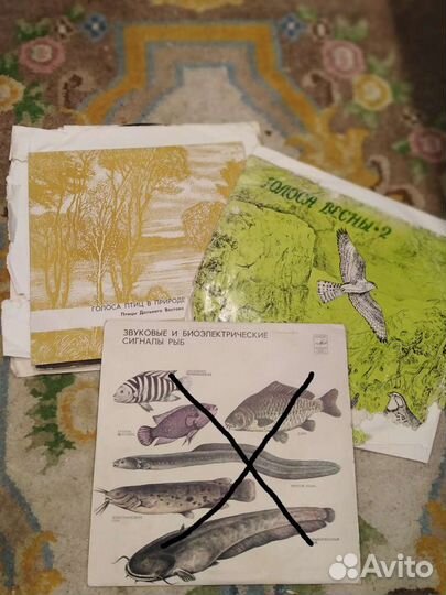 Виниловые пластинки для уроков