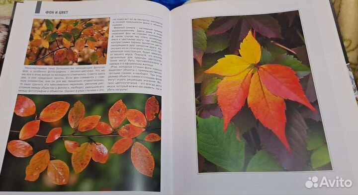 Книга фотография