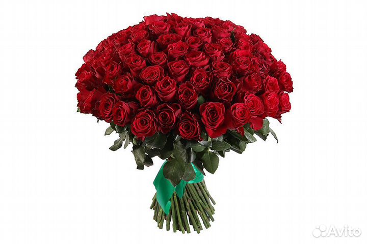 Розы/ букеты / цветы / 51 роза