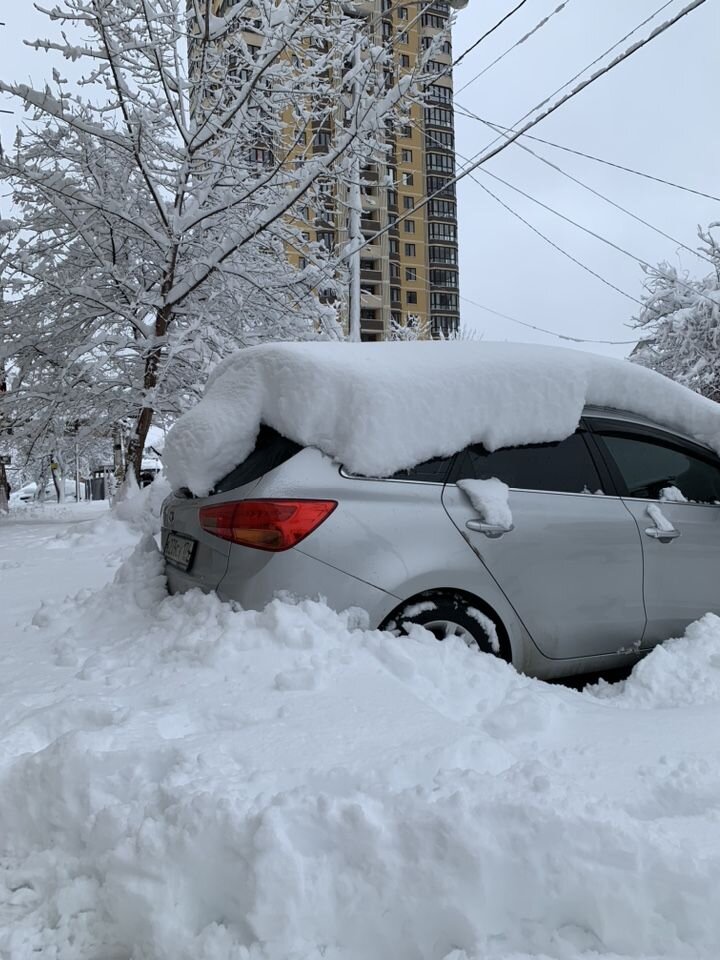 Kia Ceed: фото владельца