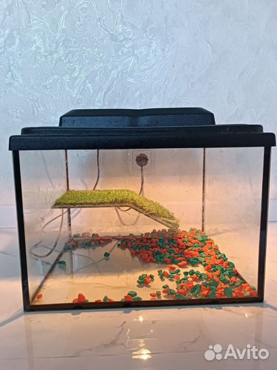 Аквариум для черепах